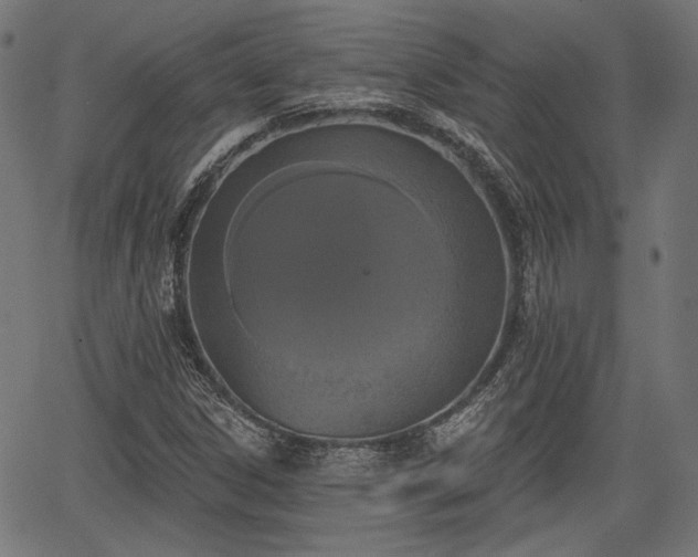 X0000067391306200604031022