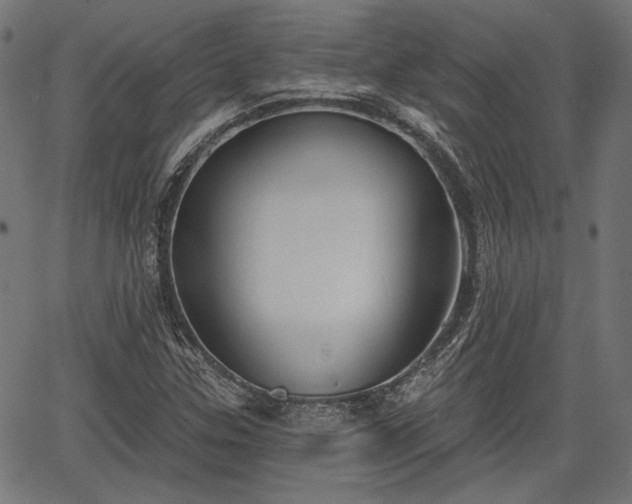 X0000067391307200604031022