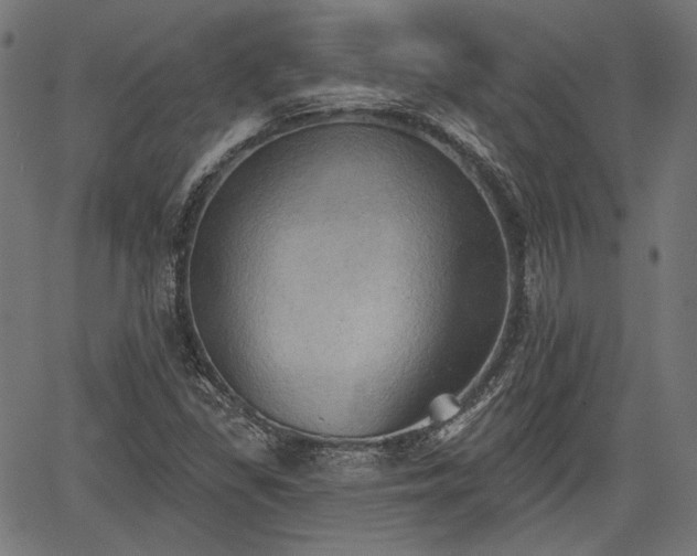 X0000067391309200604031022