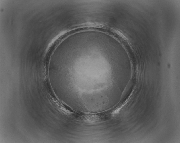 X0000067391310200604031022