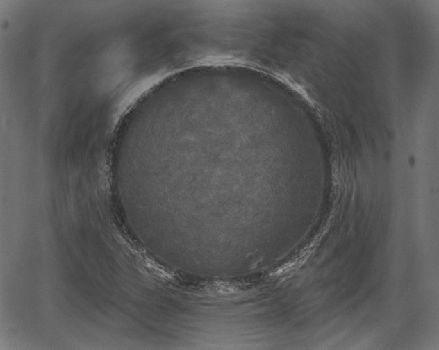 X0000067391311200604031022