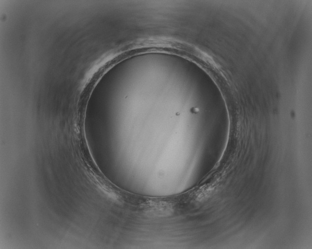 X0000067391312200604031022