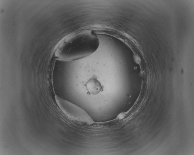 X0000067391314200604031022