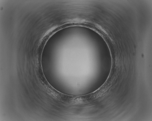 X0000067391315200604031022