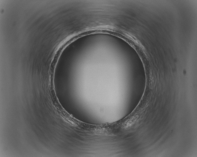 X0000067391316200604031023