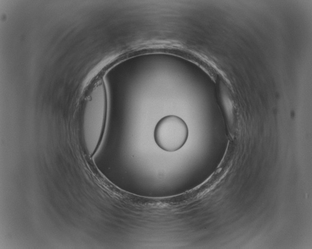 X0000067391317200604031023