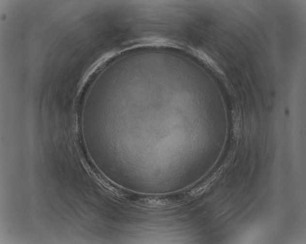 X0000067391318200604031023