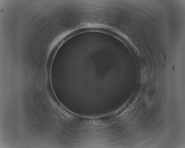 X0000067391319200604031023