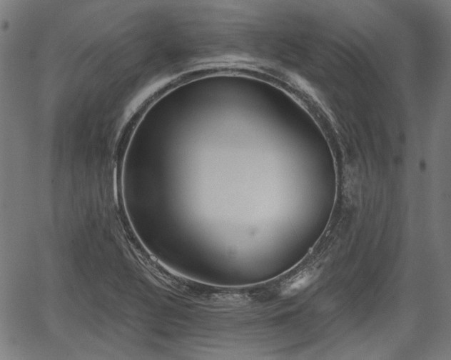 X0000067391320200604031023