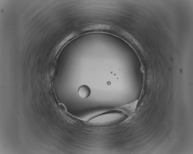 X0000067391321200604031023