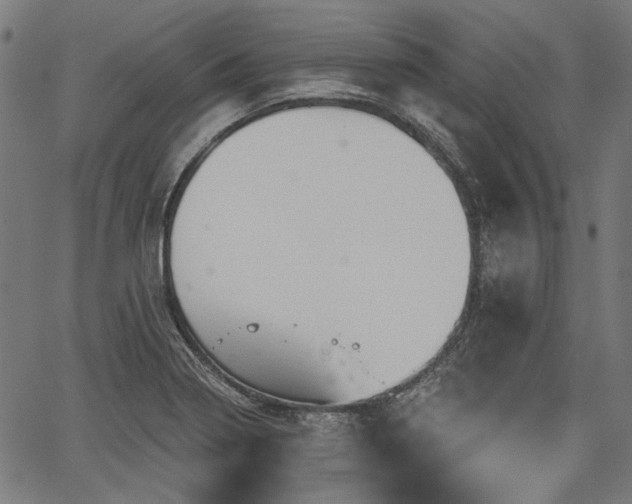 X0000067391322200604031023