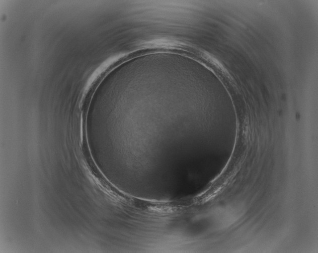 X0000067391323200604031023