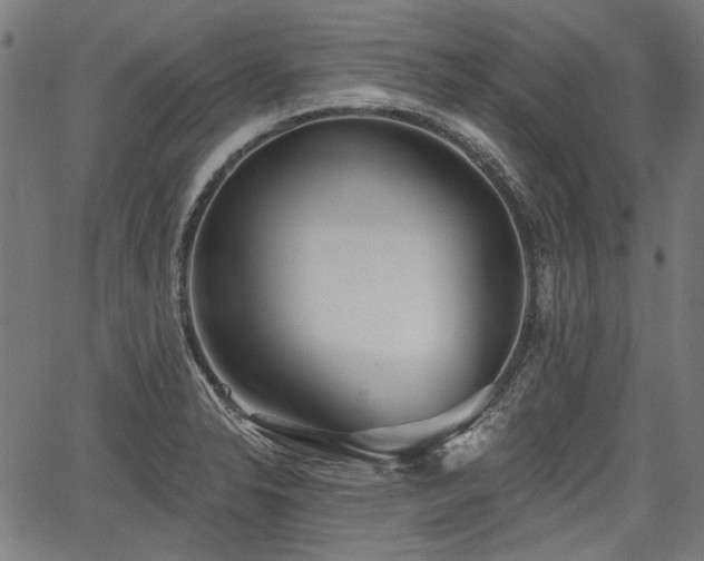 X0000067391326200604031023