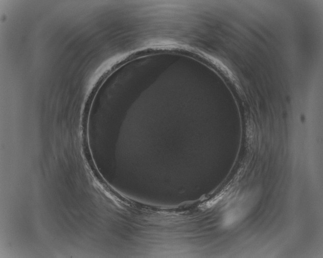 X0000067391327200604031023