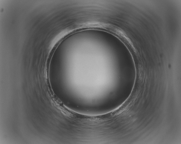 X0000067391328200604031023