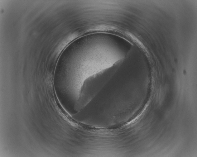 X0000067391329200604031023