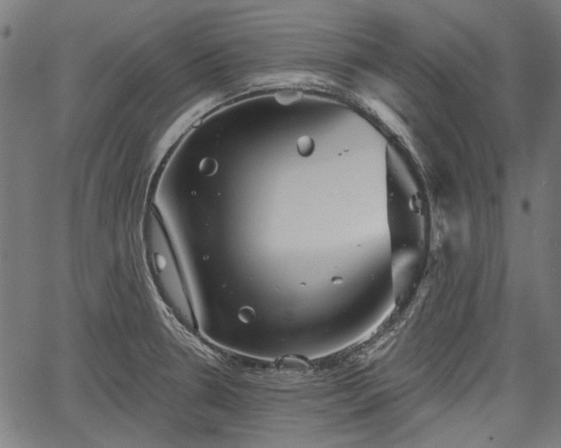 X0000067391330200604031023