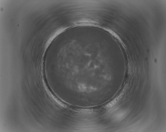 X0000067391333200604031023