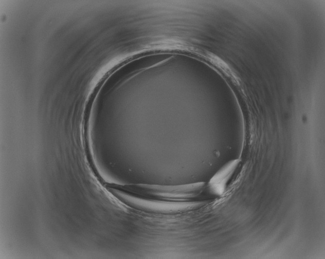 X0000067391334200604031023