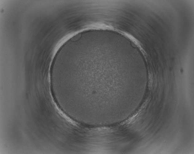 X0000067391335200604031023