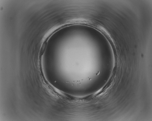 X0000067391336200604031023