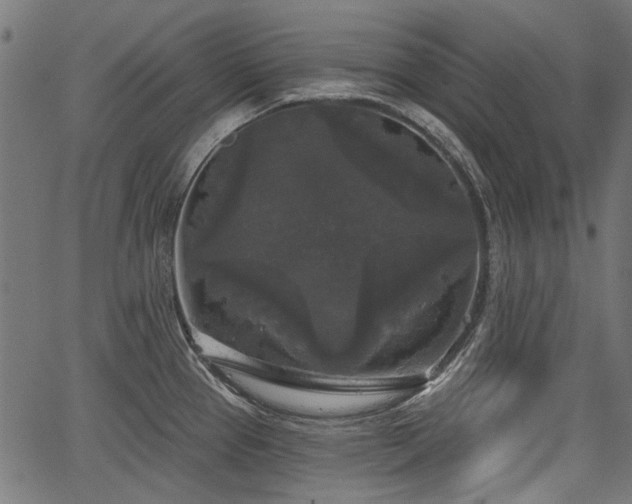 X0000067391337200604031023