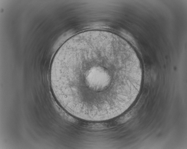 X0000067391338200604031023