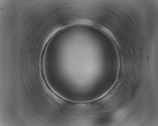 X0000067391339200604031023