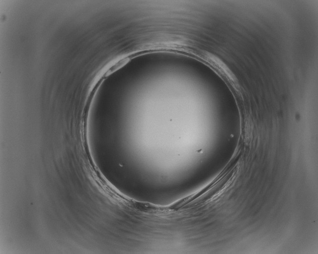 X0000067391340200604031023