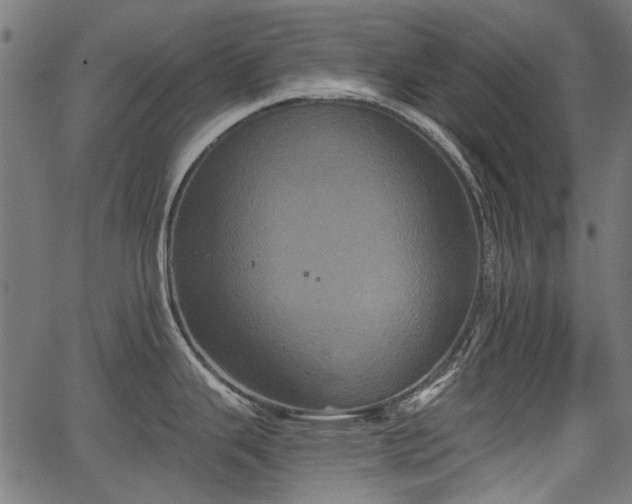 X0000067391343200604031023