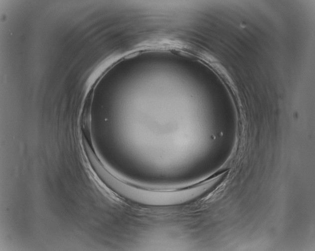 X0000067391344200604031023