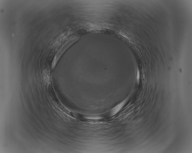 X0000067391348200604031022