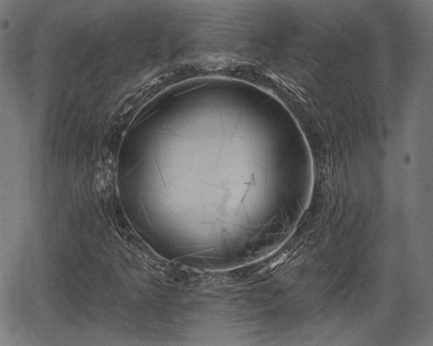 X0000067391349200604031022