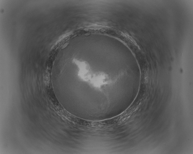 X0000067391350200604031022