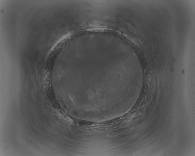 X0000067391351200604031022