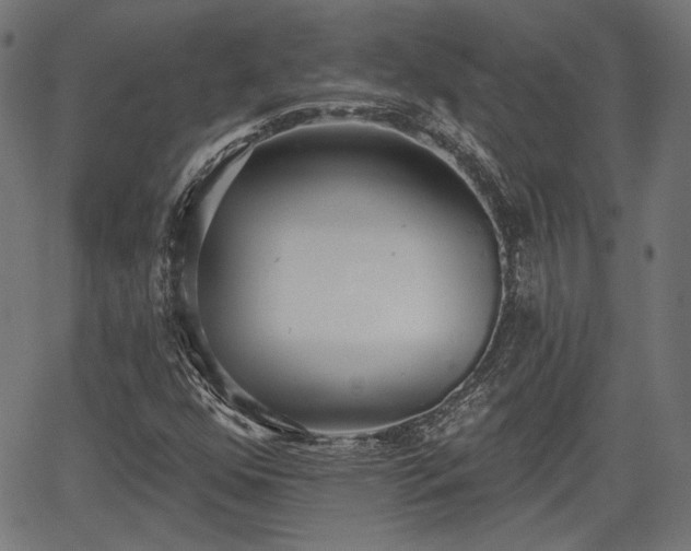 X0000067391352200604031022