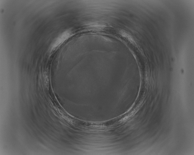 X0000067391354200604031022