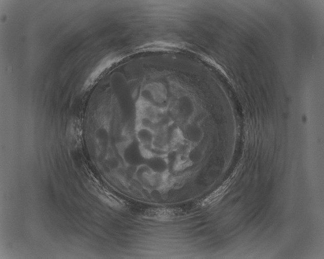 X0000067391355200604031022