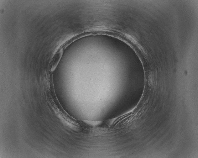 X0000067391356200604031022