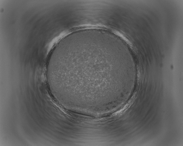 X0000067391357200604031022