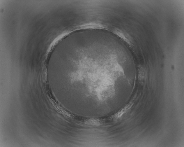 X0000067391358200604031022