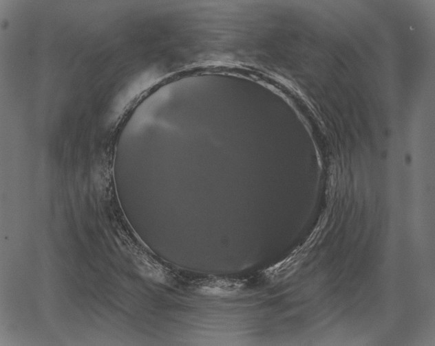 X0000067391359200604031022