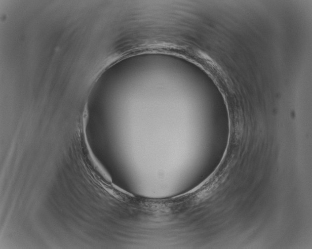 X0000067391361200604031022