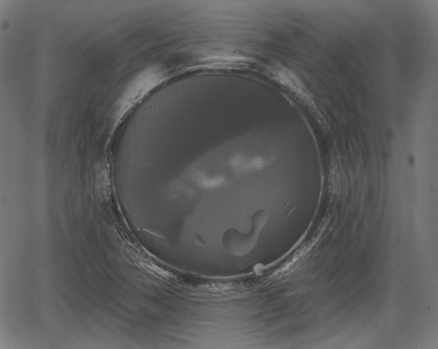 X0000067391362200604031022