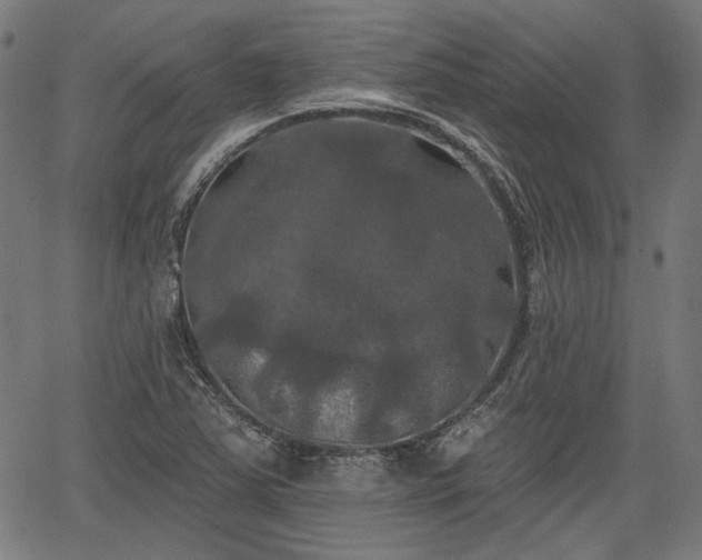 X0000067391363200604031022