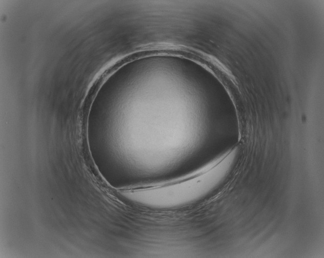 X0000067391364200604031022