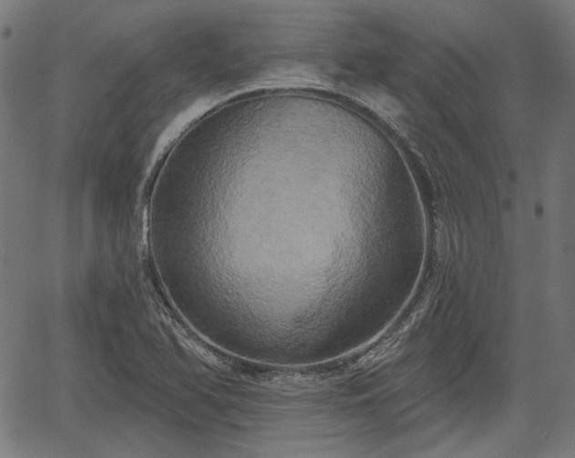 X0000067391366200604031022