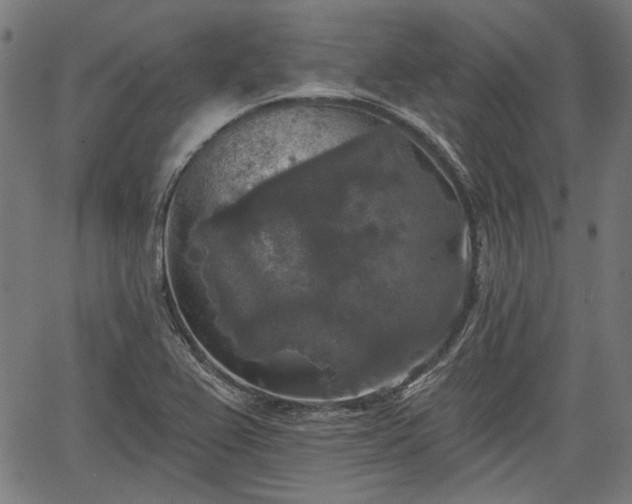 X0000067391367200604031022