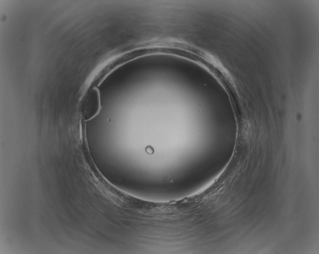 X0000067391368200604031022