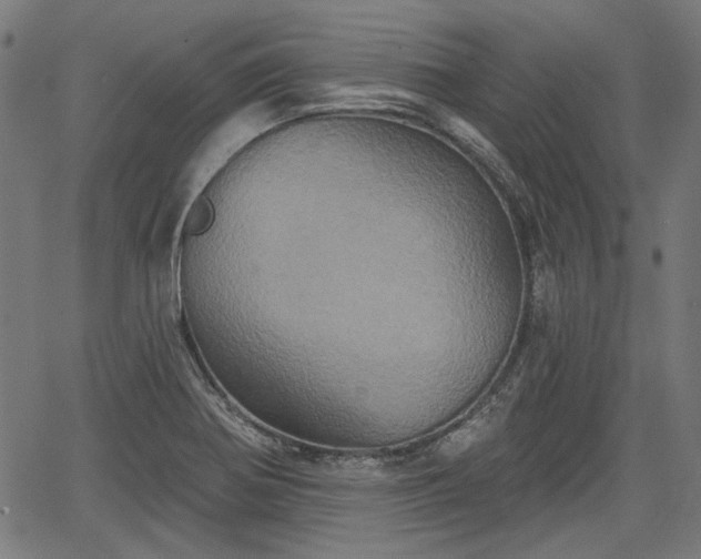 X0000067391370200604031022